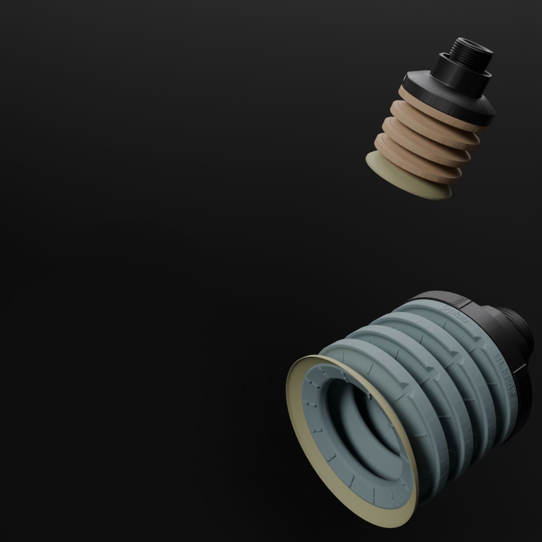 Suction Cup BLFF family