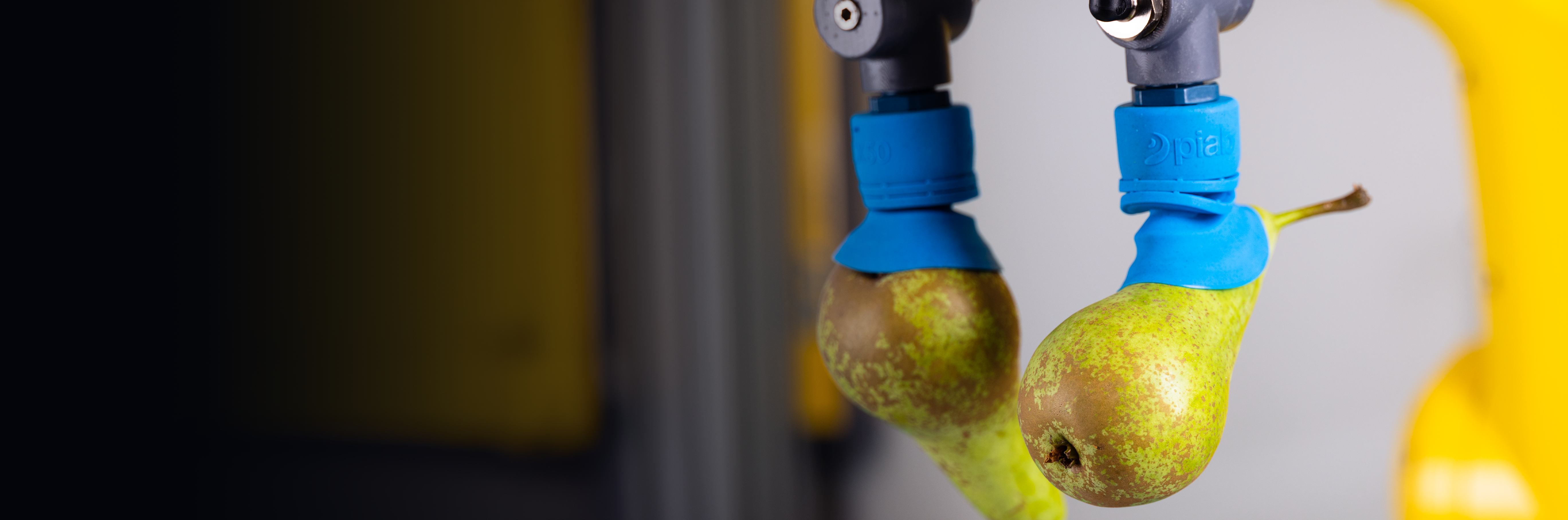 Hero Image of Food automation