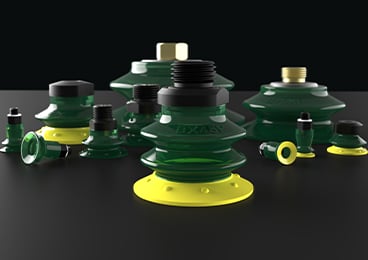 Introduzione di nuove taglie per la gamma BXP