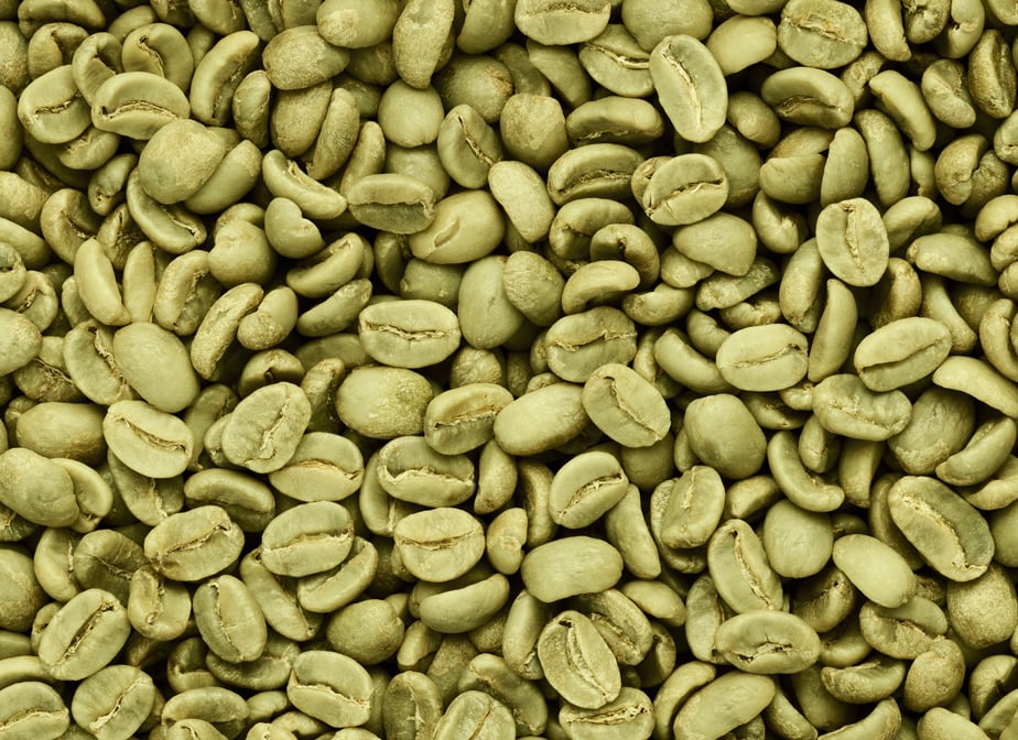 Alimentation en grains de café vert à destination de la torréfaction