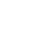 Icon Flexibility