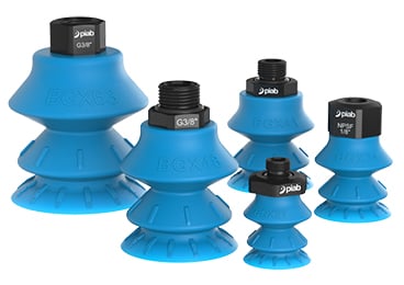 Introduzione di nuove taglie per la gamma BGX