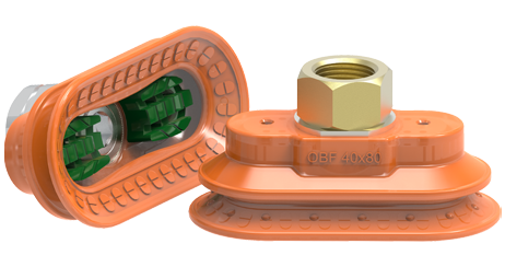 Oval suction cups