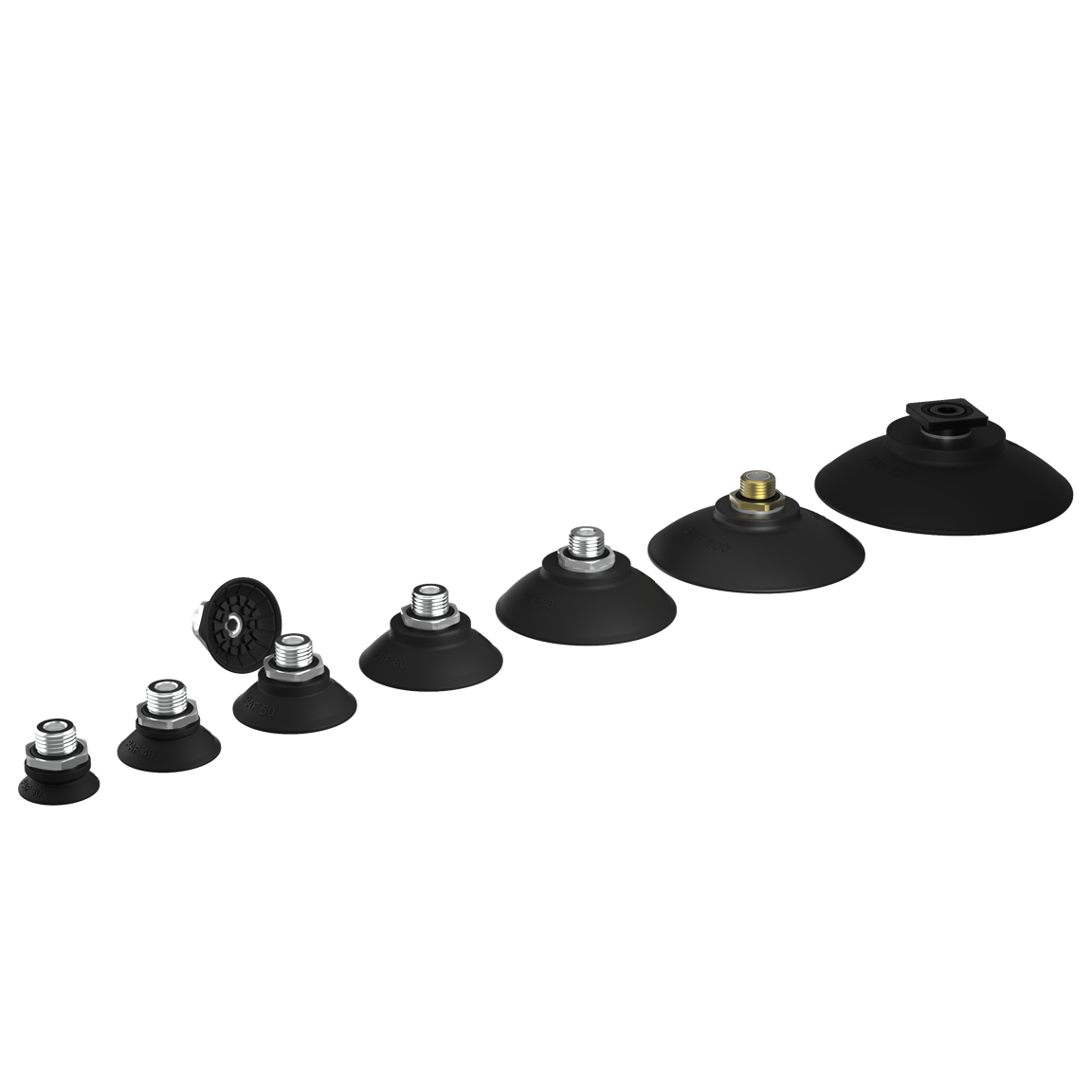Suction cup PAF family - 1