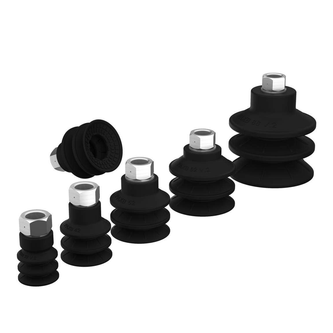 Suction cup PAXB family - 1