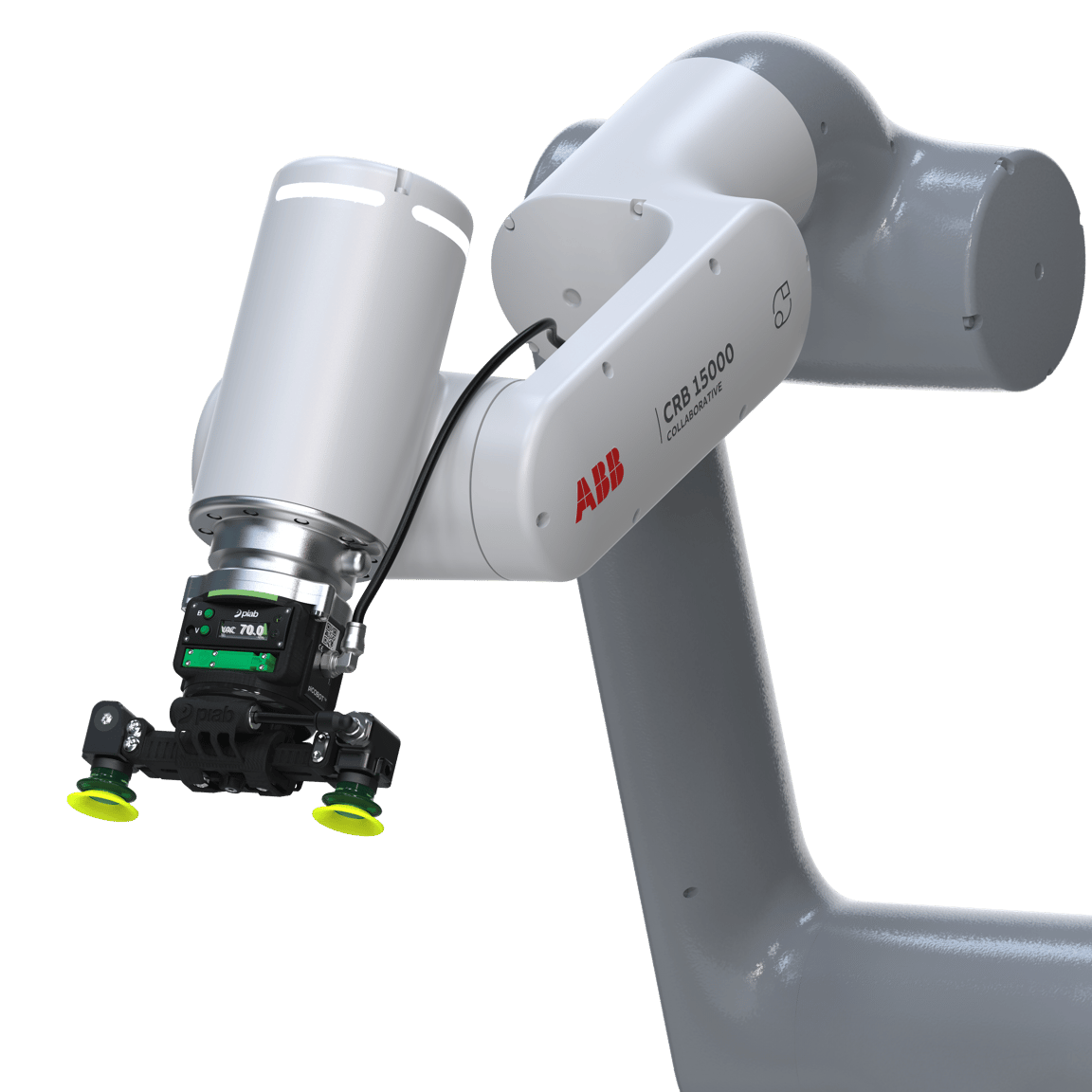 piCOBOT® - 3