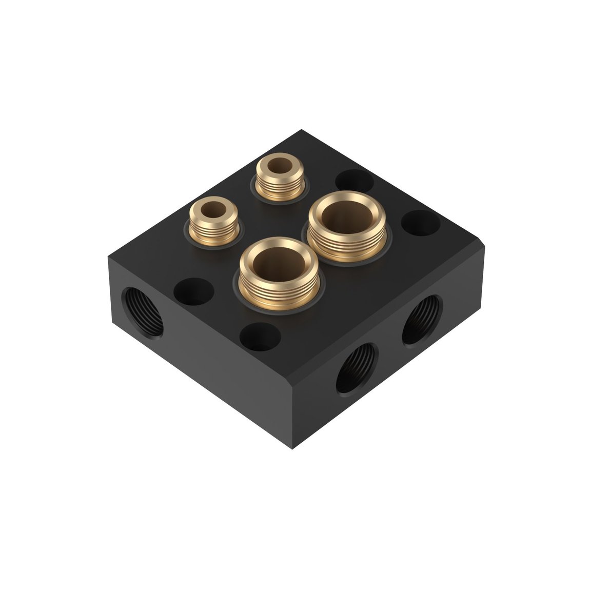 2x MFE/DFE manifold mount - 1