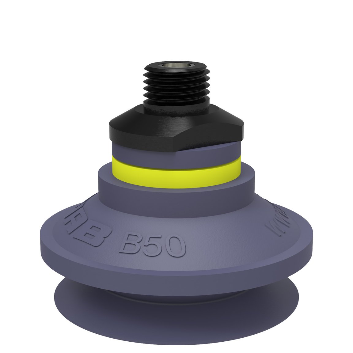 Suction cup B50 HNBR, 1/4" NPT male, with mesh filter - 1