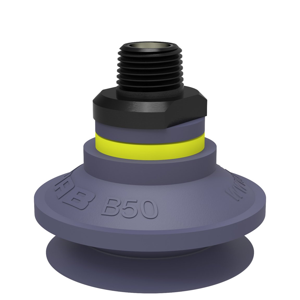Suction cup B50 HNBR, NPT3/8" male, with mesh filter
