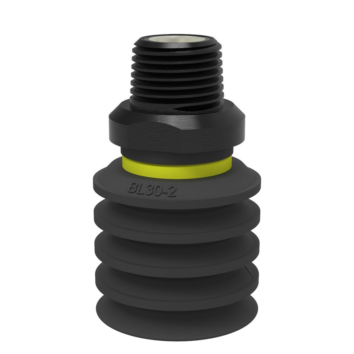 Suction cup BL30-2 Chloroprene, NPT3/8" male, with mesh filter - 1