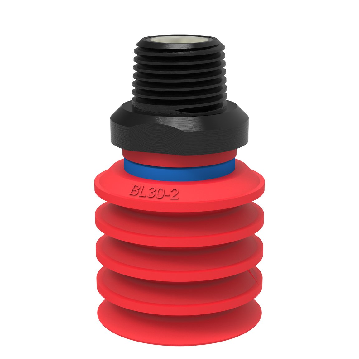 Suction cup BL30-2 Silicone, NPT3/8" male, with mesh filter - 1