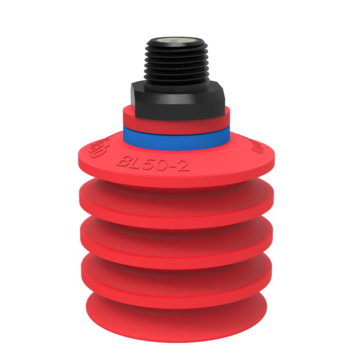 Suction cup BL50-2 Silicone, NPT3/8" male, with mesh filter - 1