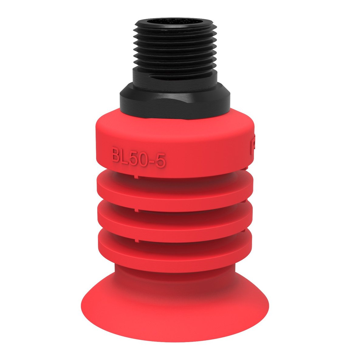 Saugnapf BL50-5 Silikon, 1/2" NPT Aussengewinde - 1