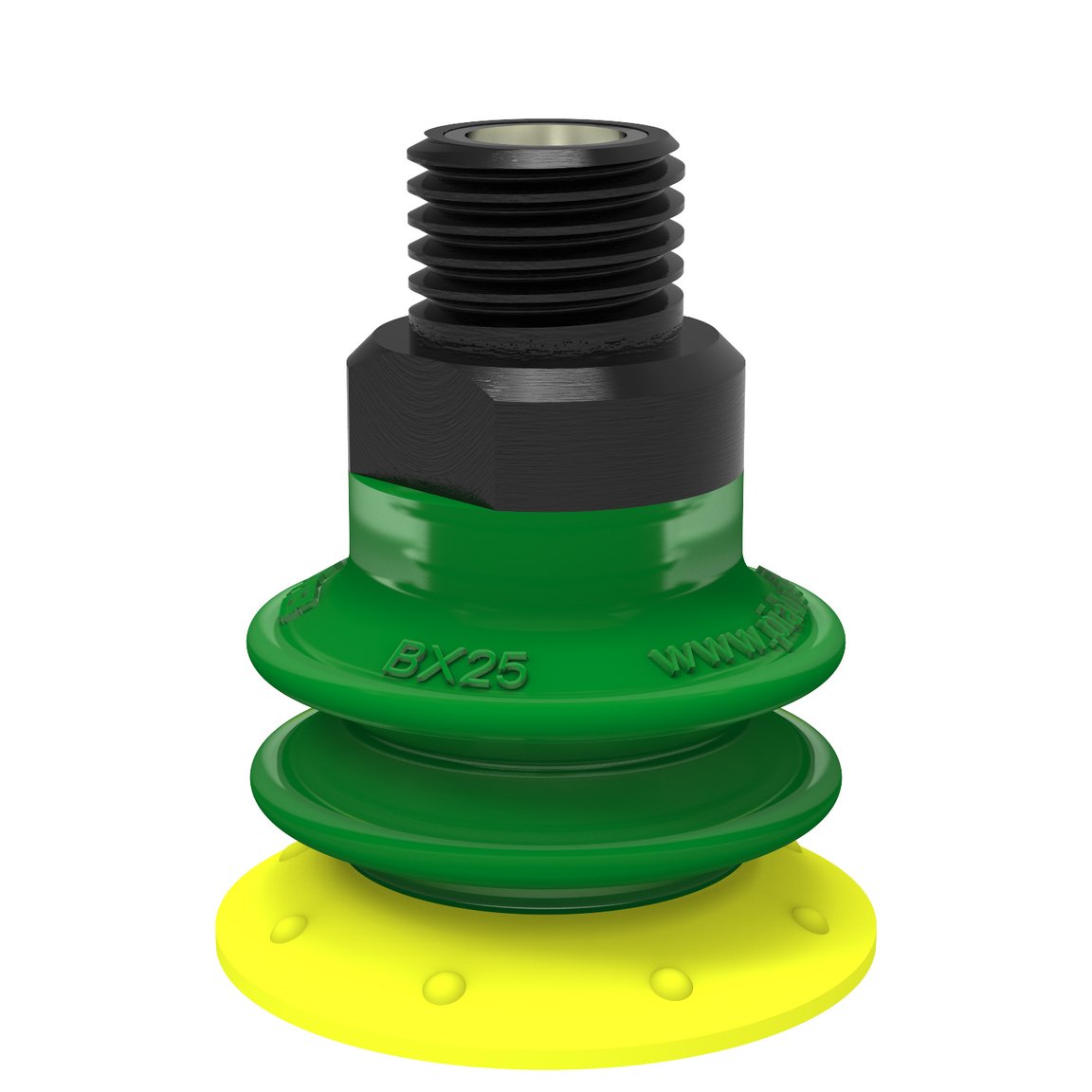 Suction cup BX25P Polyurethane 60 with filter, 1/8" NPT male with mesh filter