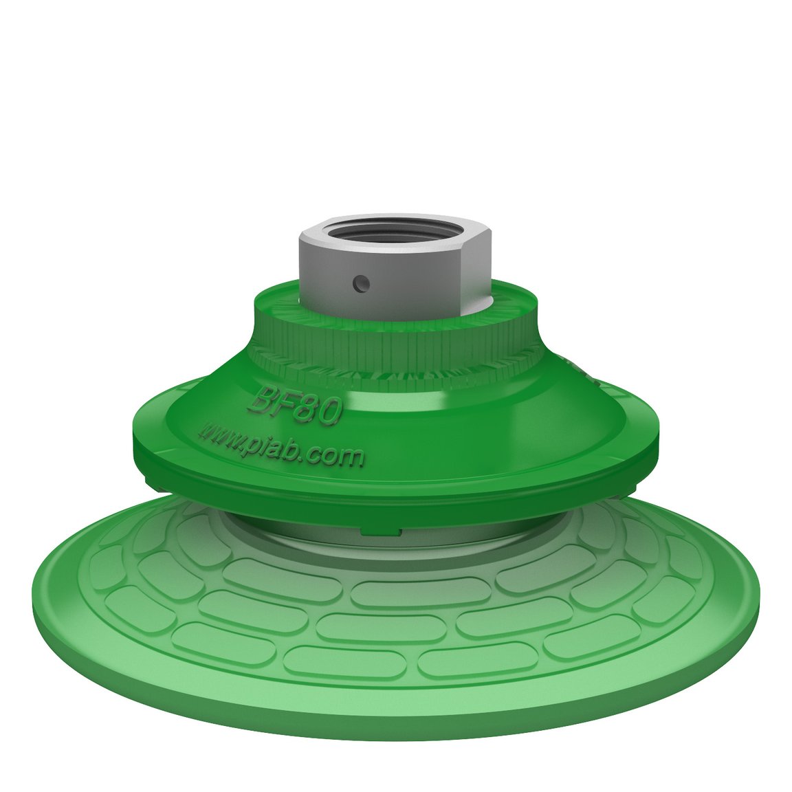 Suction cup BF80P Polyurethane 60, 3/8" NPSF female - 1