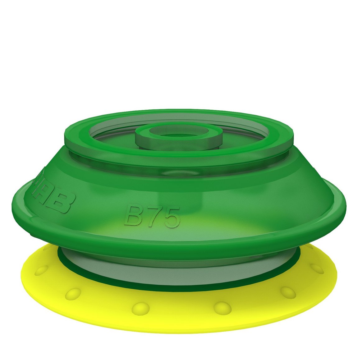 Suction cup B75P Polyurethane 30/60 - 1