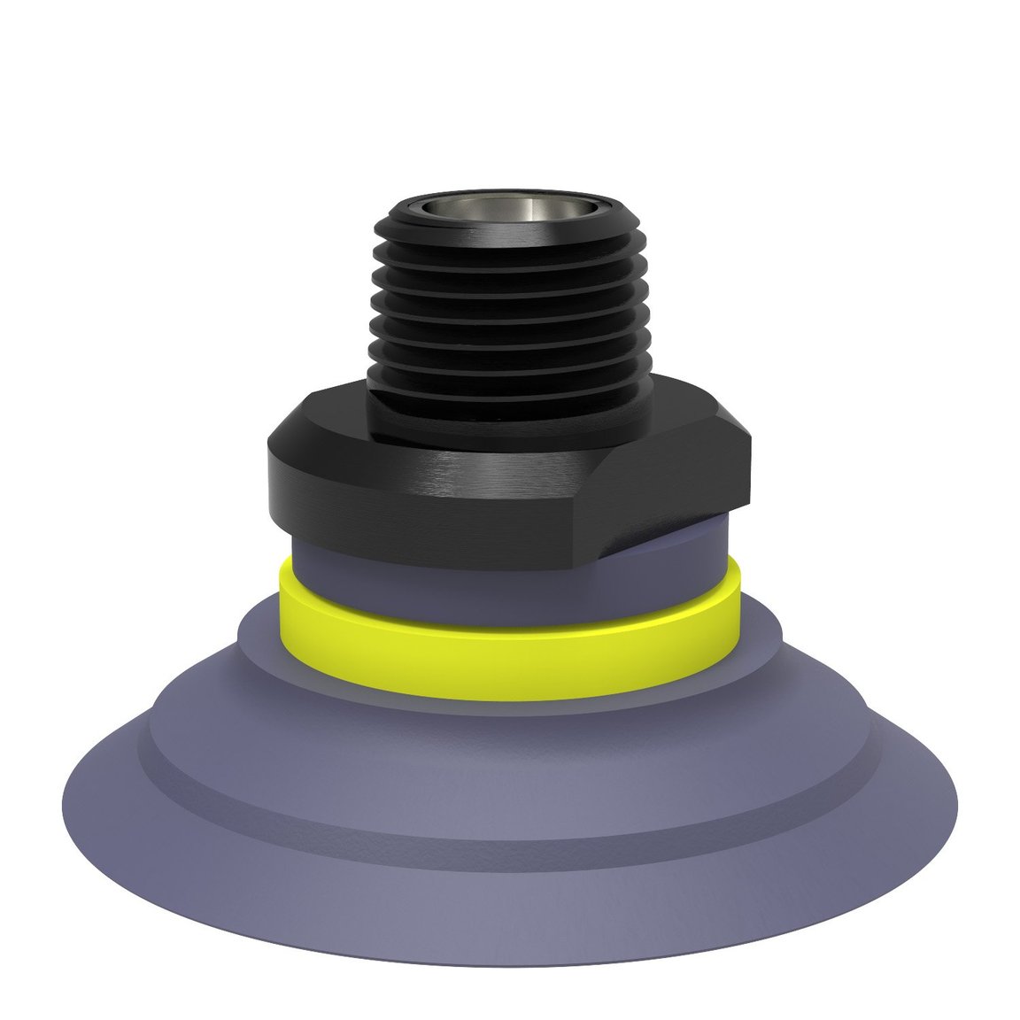 Suction cup F50-2 HNBR, NPT3/8" male, with mesh filter