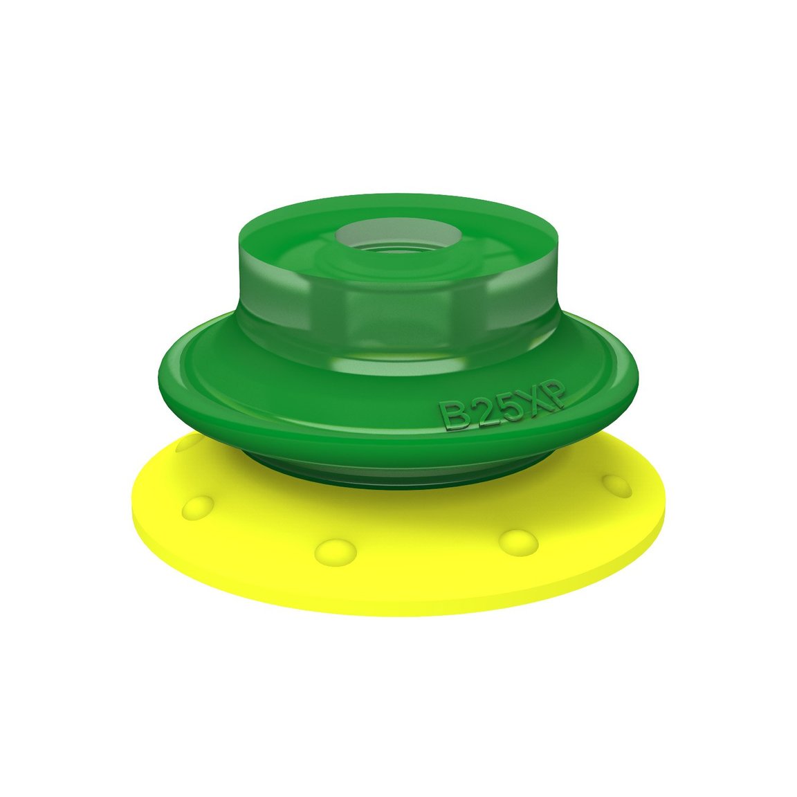 Suction cup B25XP Polyurethane 30/60 - 1