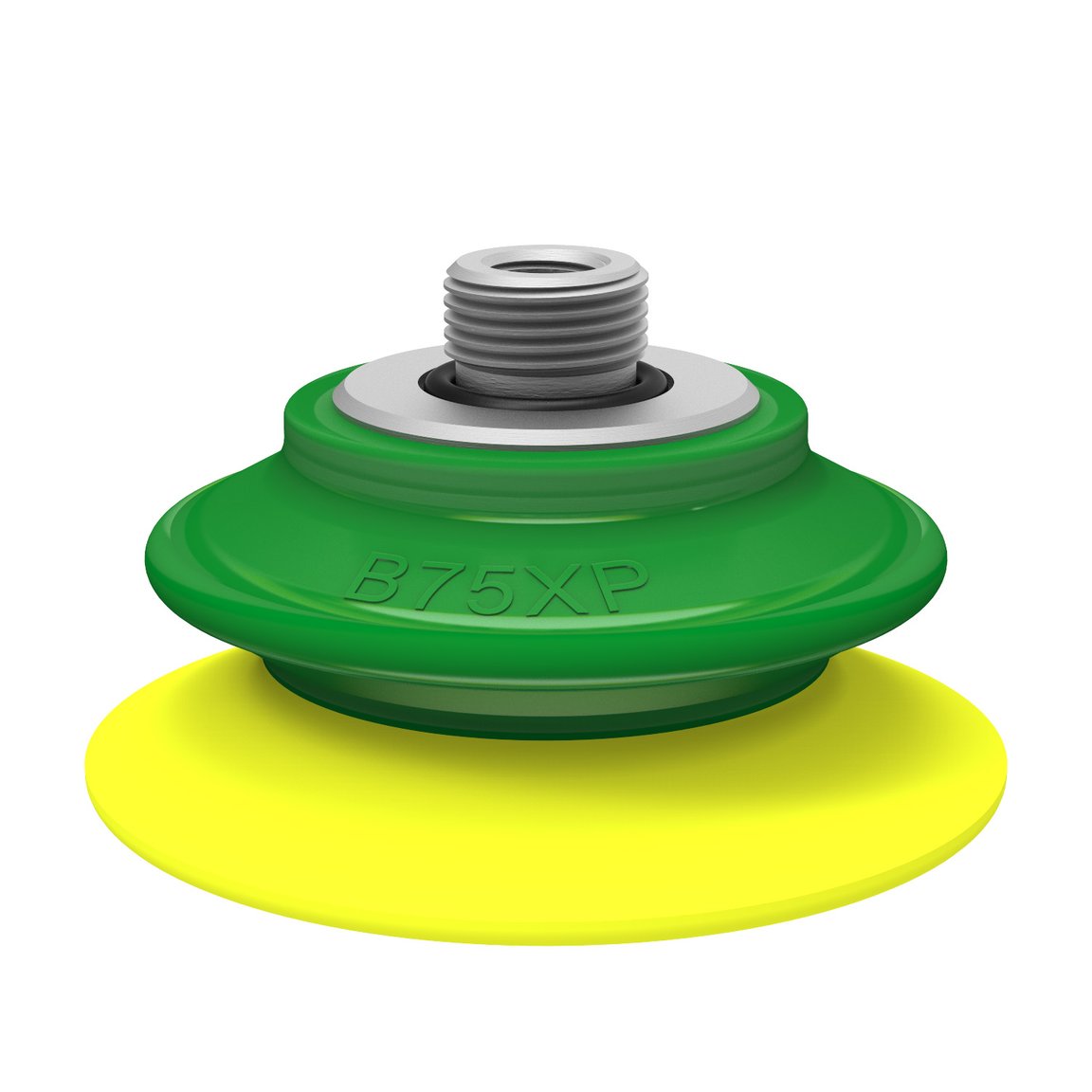 Suction cup B75XP Polyurethane 30/60 , G3/8" male / 1/8" NPSF female