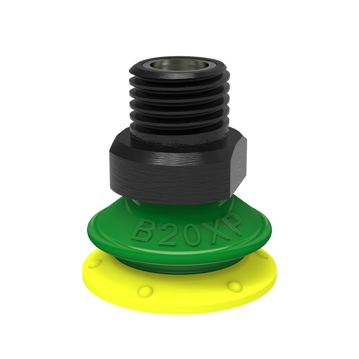 Ventosa B20XP Poliuretano 30/60, 1/8" NPT maschio, con filtro a rete - 1