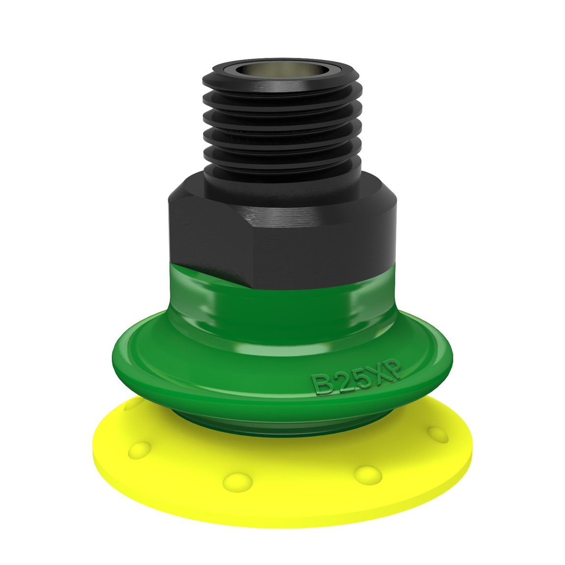Suction cup B25XP Polyurethane 30/60, 1/8" NPT male  with mesh filter