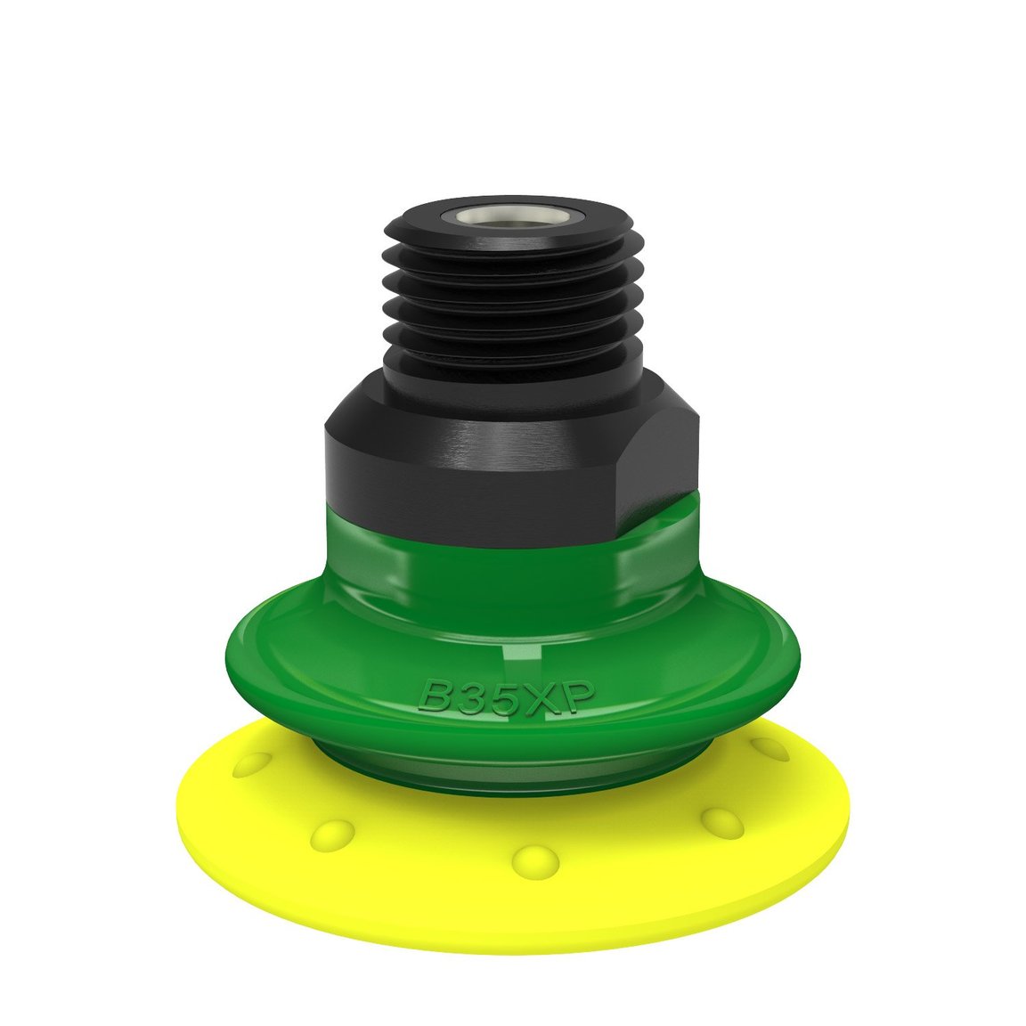 Suction cup B35XP Polyurethane 30/60, 1/4" NPT male with mesh filter - 1
