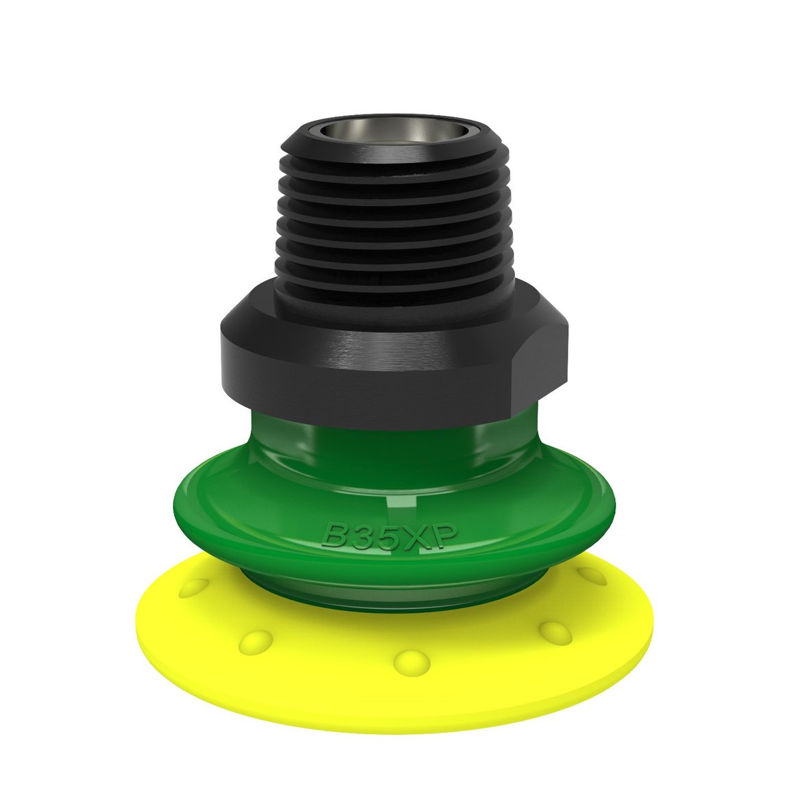 Suction cup B35XP Polyurethane 30/60, 3/8" NPT male with mesh filter - 1