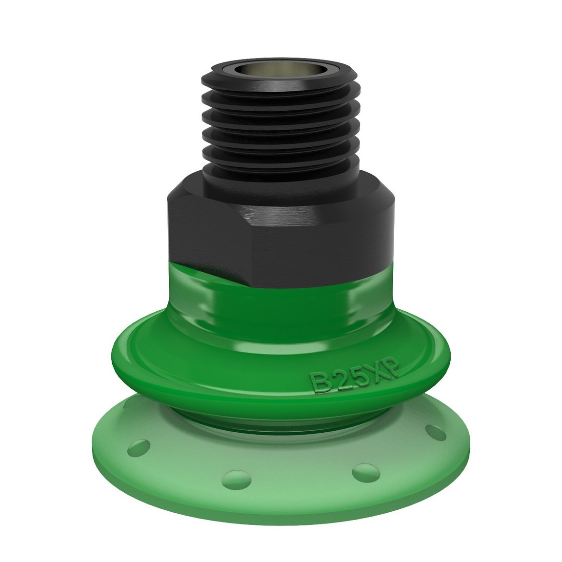 Suction cup B25XP Polyurethane 60, 1/8" NPT male with mesh filter - 1
