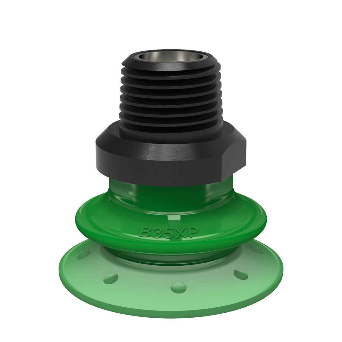 Suction cup B35XP Polyurethane 60, 3/8" NPT male with mesh filter