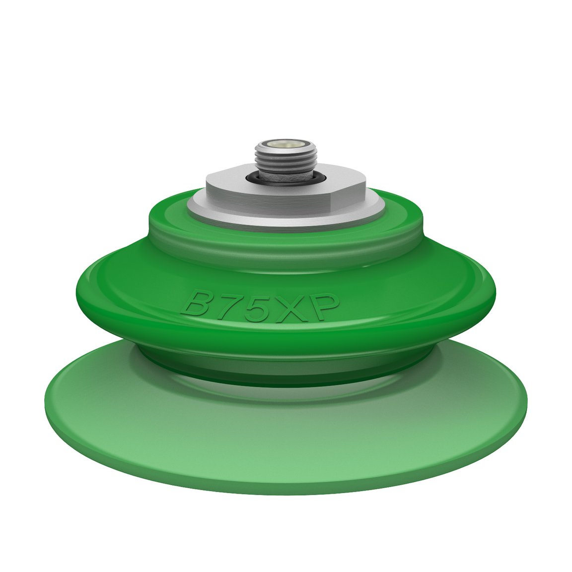 Suction cup B75XP Polyurethane 60 thread insert G1/8" male - 1