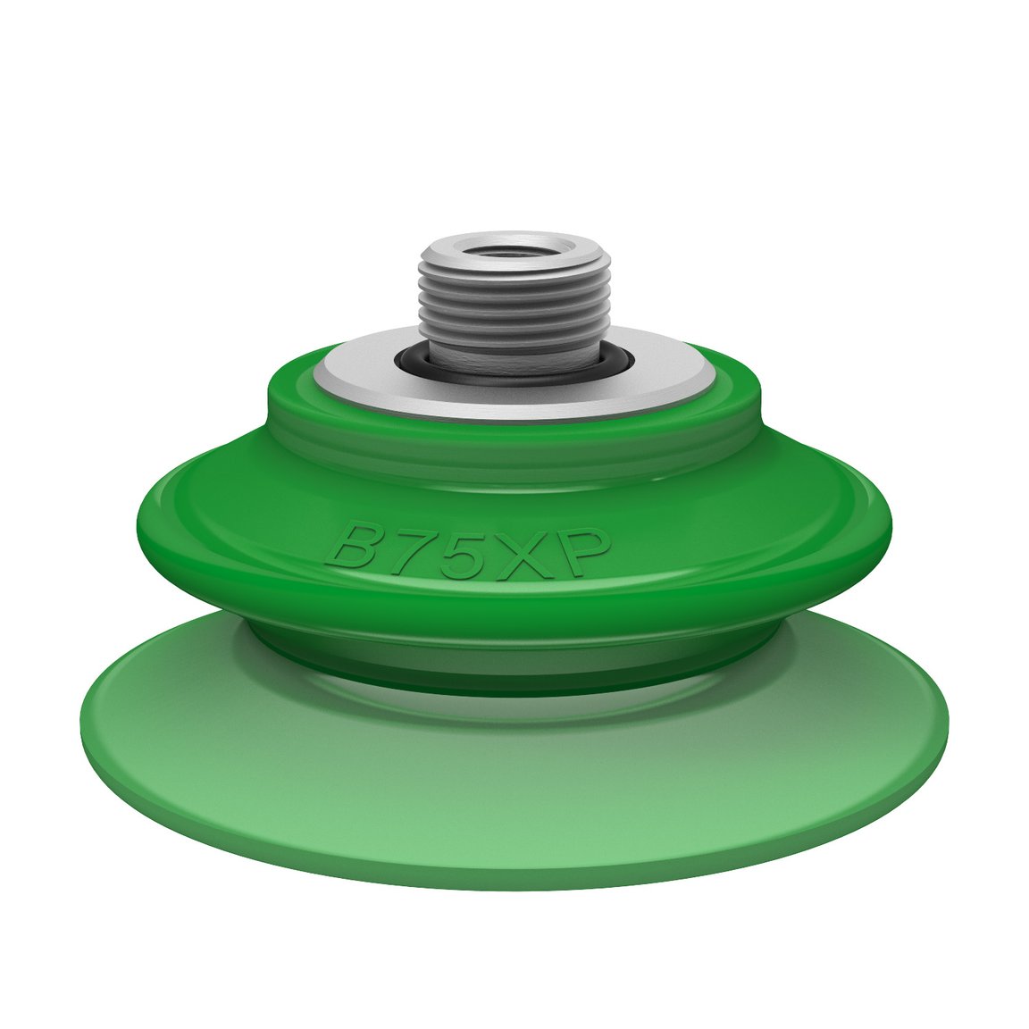 Suction cup B75XP Polyurethane 60 , G3/8" male / 1/8" NPSF female - 1