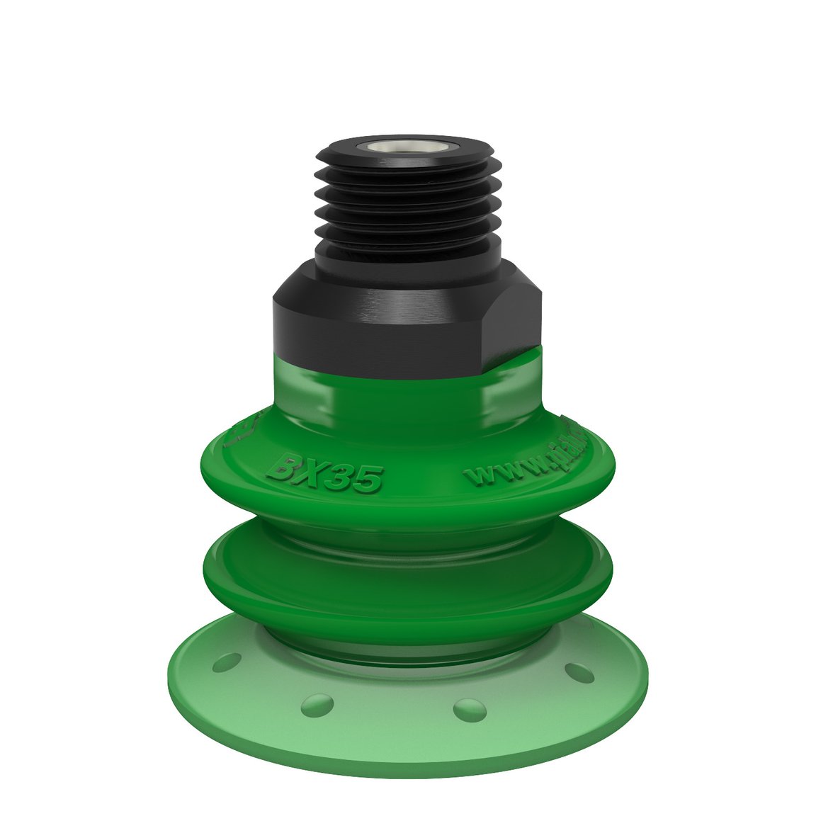 Ventosa BX35P Poliuretano 60 con filtro interno, 1/4" NPT maschio, con filtro a rete - 1