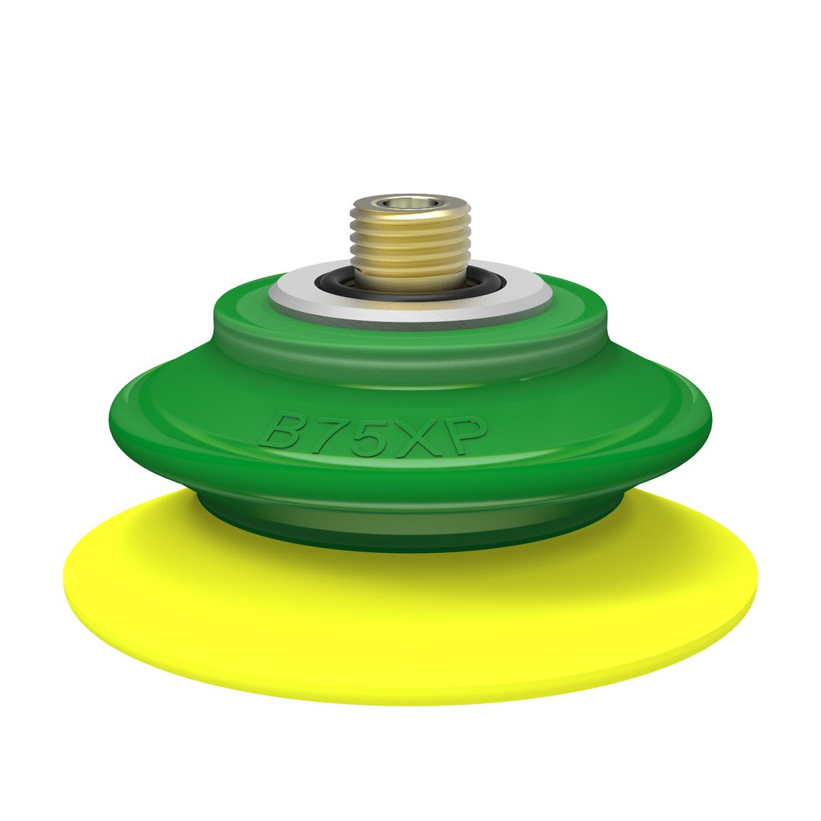 Ventosa B75XP Poliuretano 30/60 , inserto con rosca G1/4" macho - 1