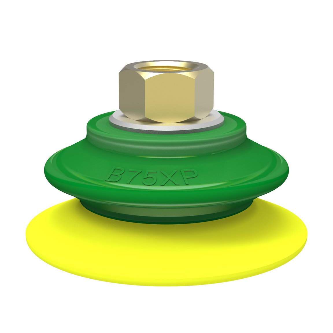 Suction cup B75XP Polyurethane 30/60, 3/8" NPSF female
