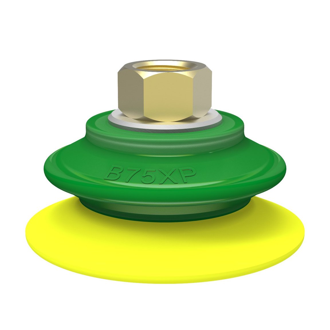 Ventouse B75XP Polyuréthane 30/60, 3/8" NPSF fem. - 1
