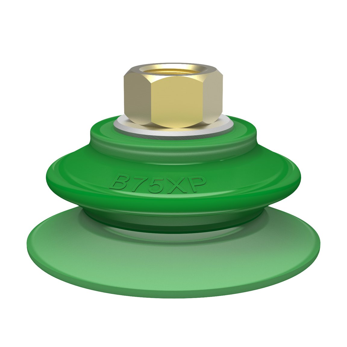 Suction cup B75XP Polyurethane 60, 3/8" NPSF female
