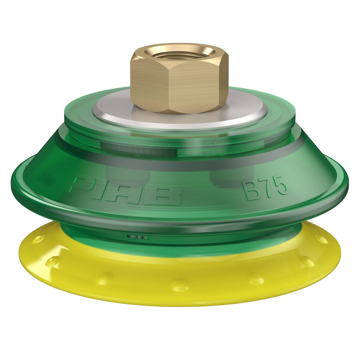 Suction cup B75P Polyurethane 30/60, brass 3/8" NPSF female
