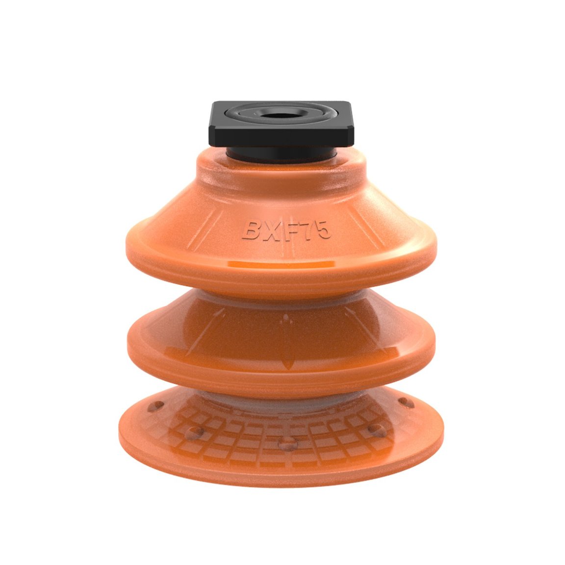 Suction cup BXF75P Polyurethane 60, T-slot with mesh filter - 1