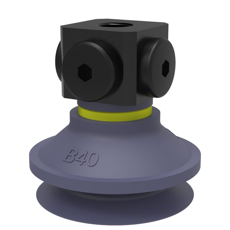 Suction cup B40 Chloroprene Suction cup B40 Chloroprene