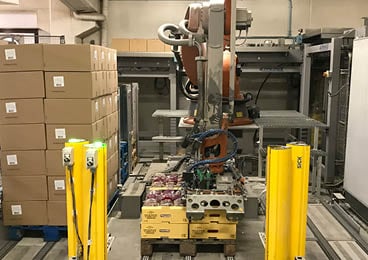 Palettieren von offenen Kartons mit einem Greifer, der mit BX35P-Duraflex-Saugnäpfen von Piab ausgestattet ist