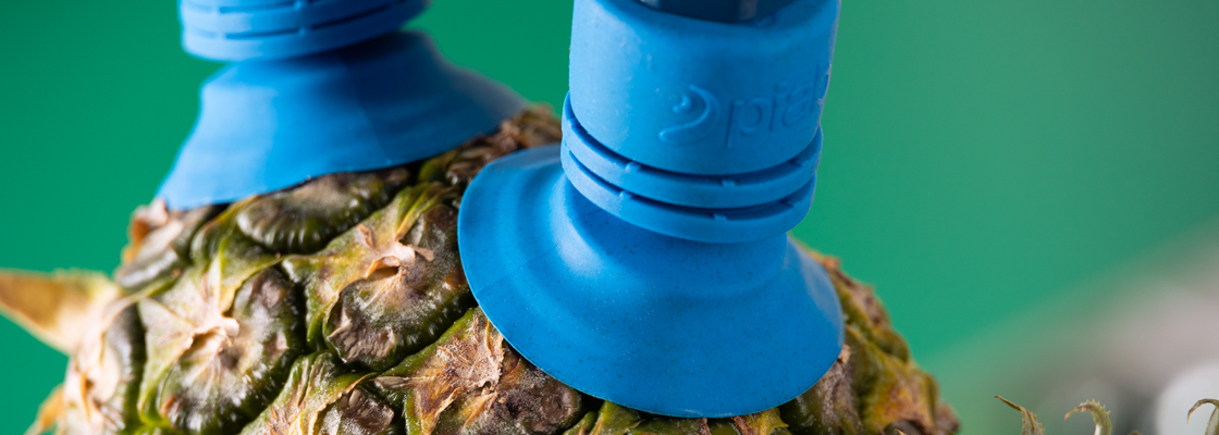 fruit suction cup FCX50