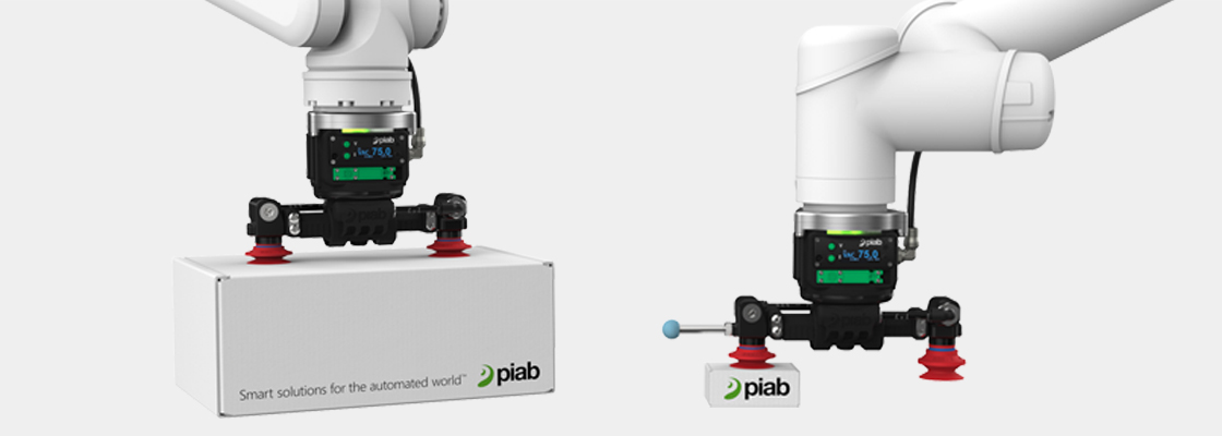 Piab picobot deals