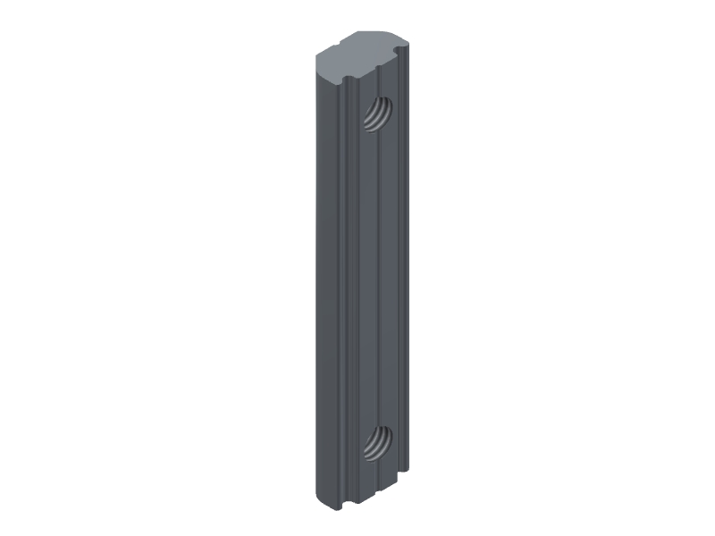 GWP 5-41 X Channel Nut