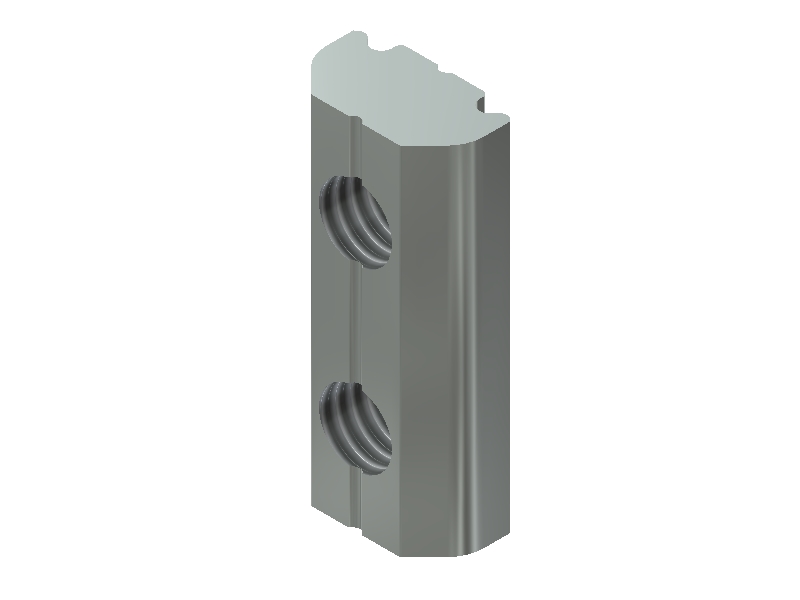 GWP 6-12 X Channel Nut
