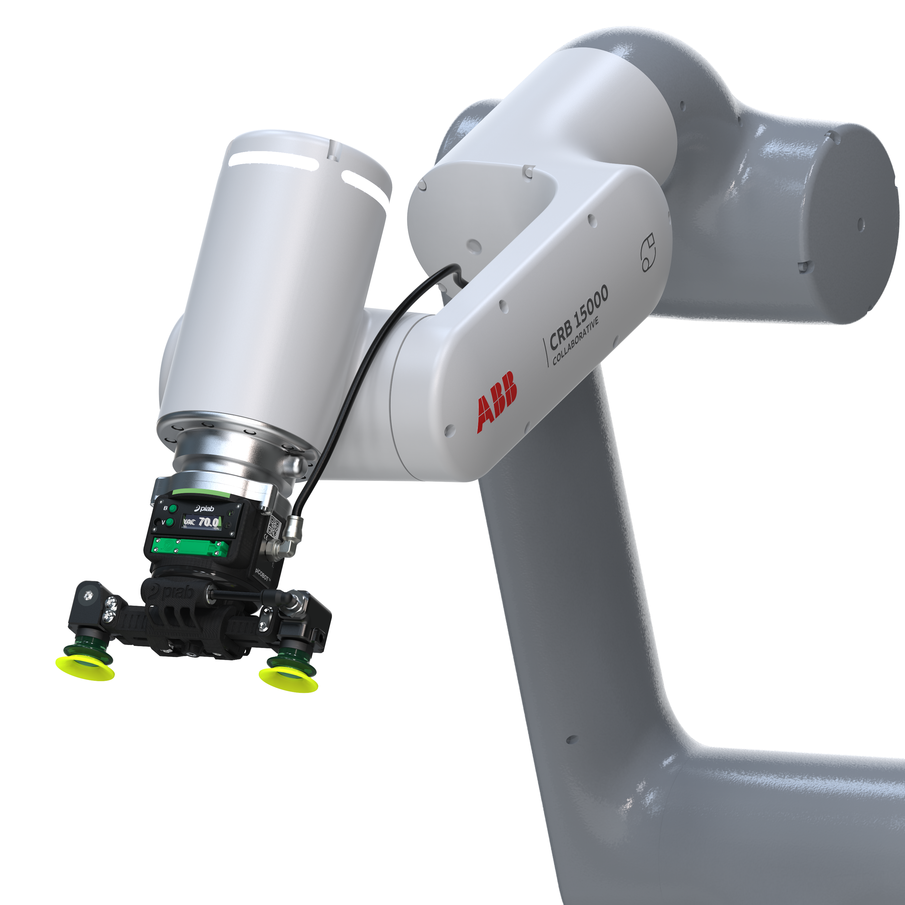 piCOBOT® - 3