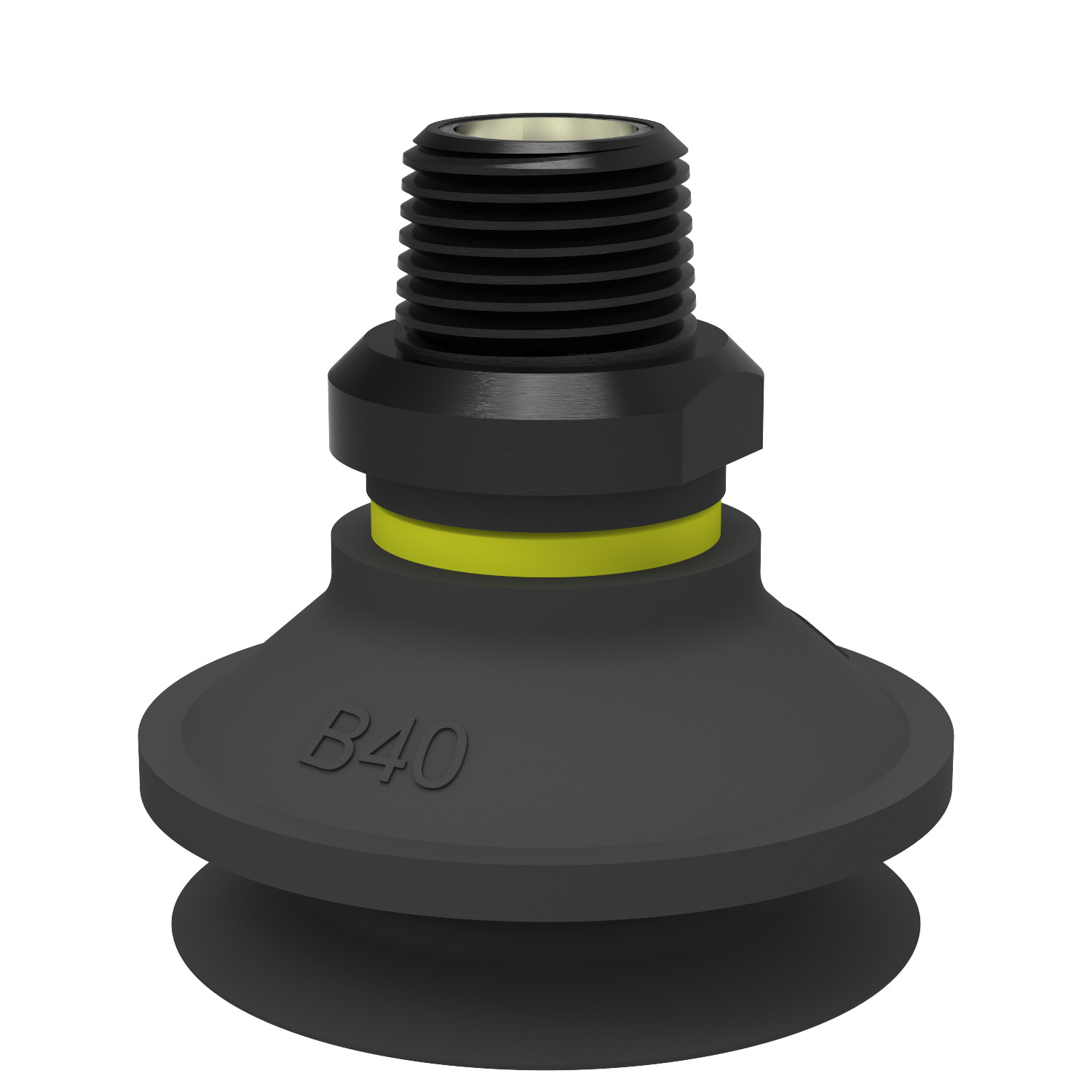 Suction cup B40 Chloroprene, NPT3/8" male, with mesh filter - 1