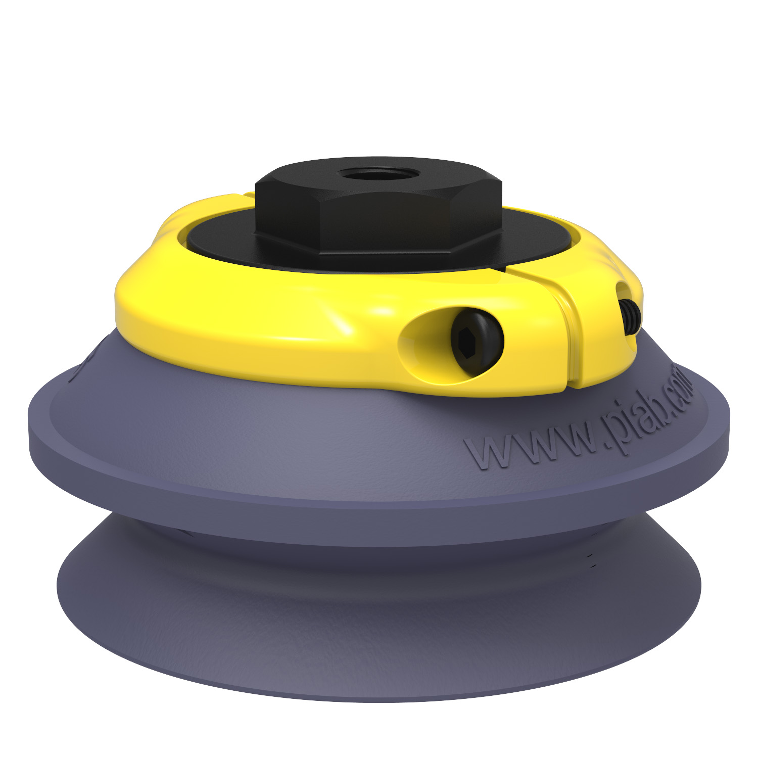 Suction cup B75 HNBR, 1/8" NPSF female, clamp ring with mesh filter - 1