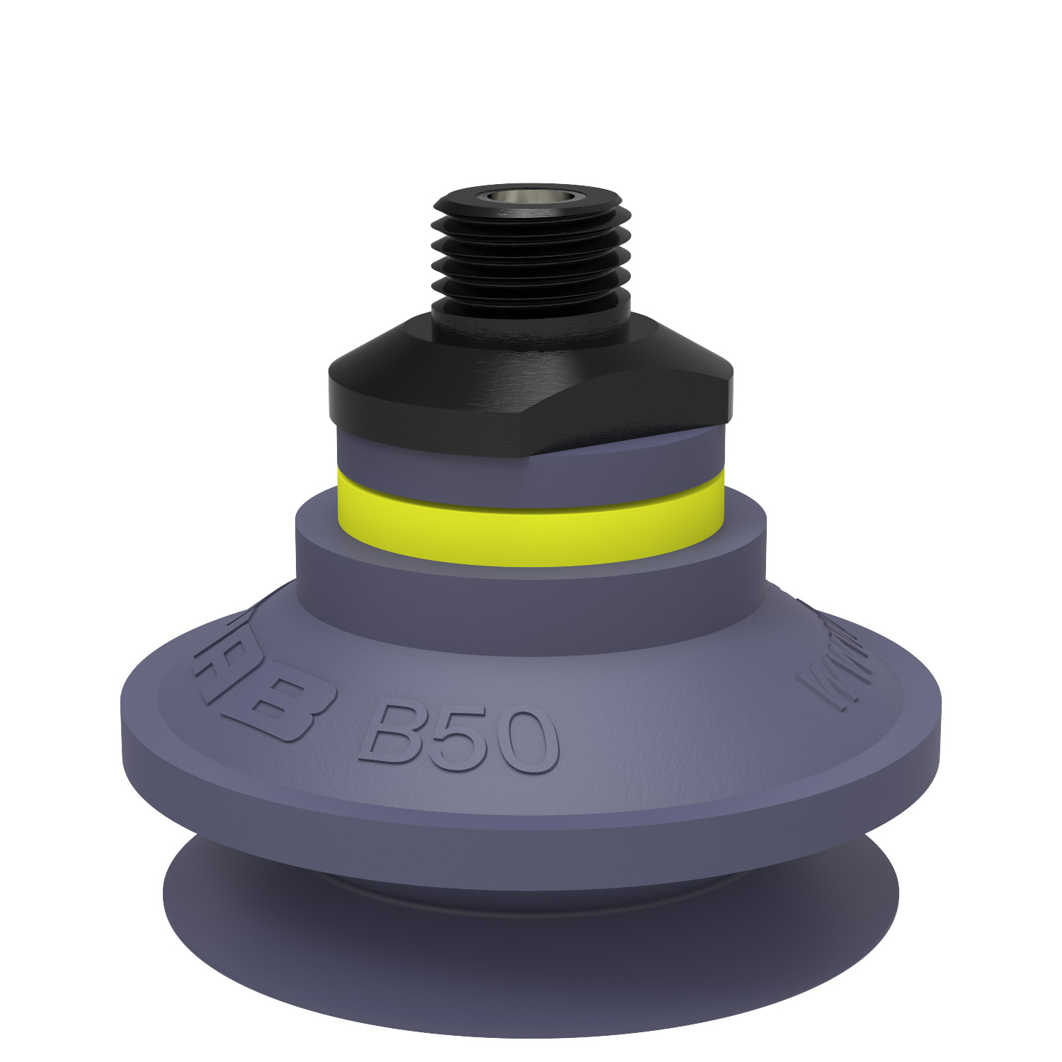 Suction cup B50 HNBR, 1/4" NPT male, with mesh filter - 1