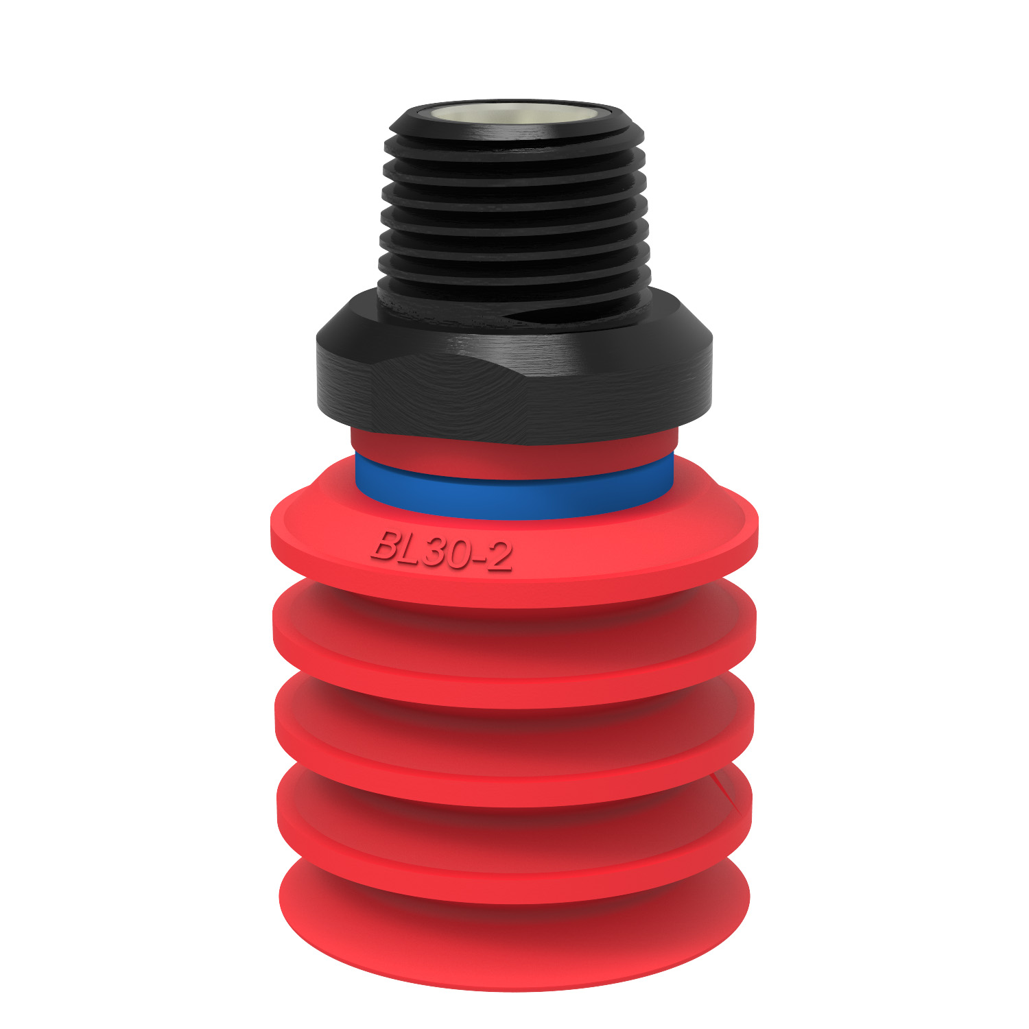 Suction cup BL30-2 Silicone, NPT3/8" male, with mesh filter - 1