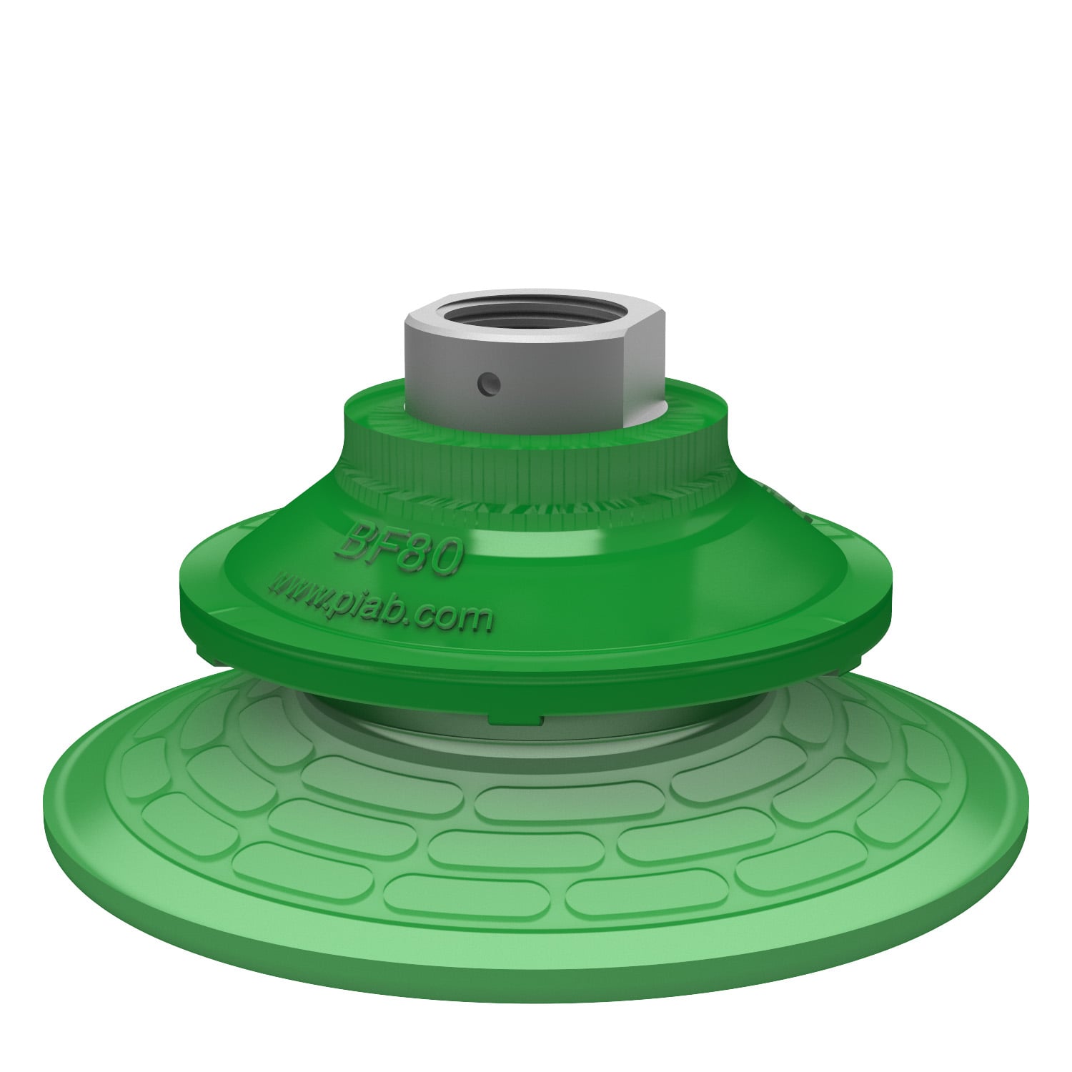 Suction cup BF80P Polyurethane 60, 3/8" NPSF female - 1